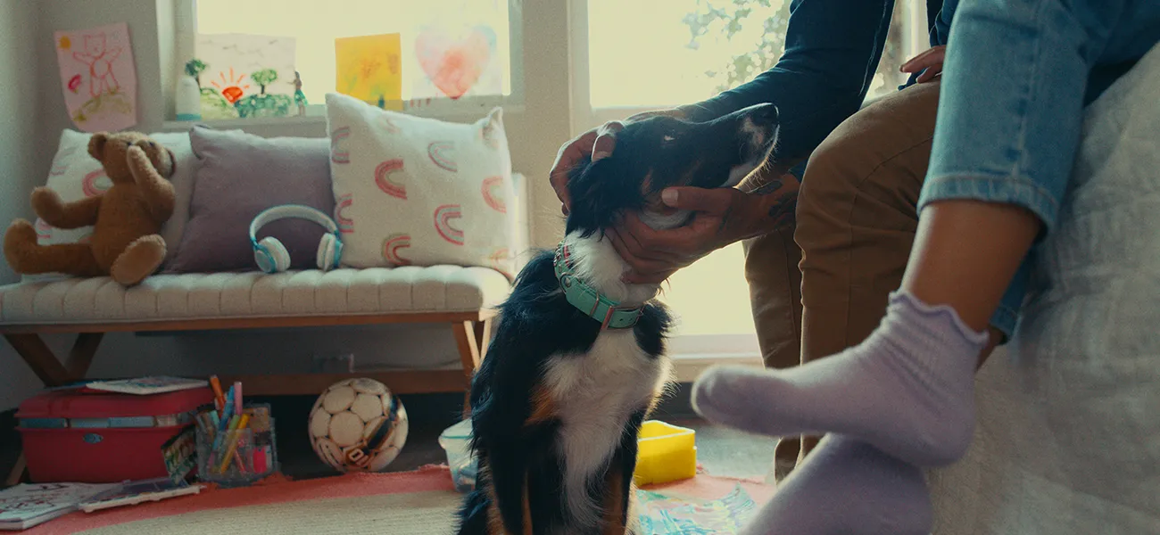family with dog in hotel room
