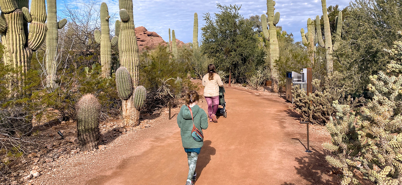 Family hiking the Desert Botanical Garden.