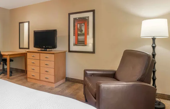 Studio Suite - 2 Full Beds