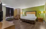 1 Bedroom Suite - 1 King Bed