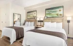 Studio Suite - 2 Queen Beds