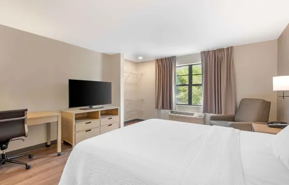 Studio Suite - 1 Queen Bed